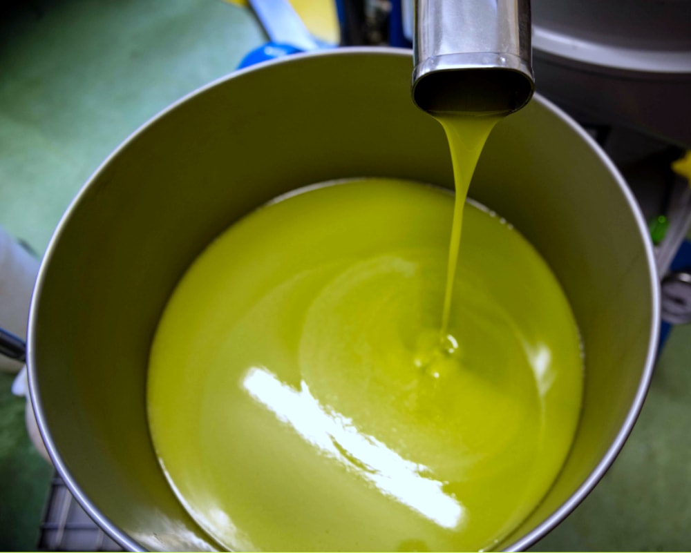 Read more about the article Spremitura a freddo: tutta la qualità per l’Olio extravergine d’oliva